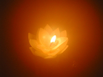 DSCN0352.jpg